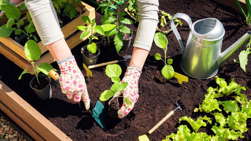 Gardening Promotions & Deals