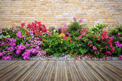Professionals Can Keep Your Garden Well Maintained
